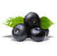Black plum