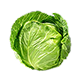 Vegetables
